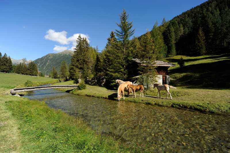 Lust auf Bauernhof_4