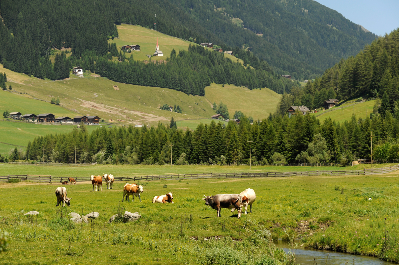 Lust auf Bauernhof_5