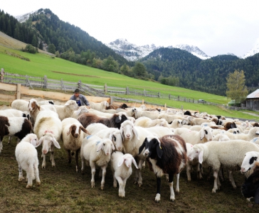 Lust auf Bauernhof_19