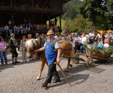 Lust auf Bauernhof_3